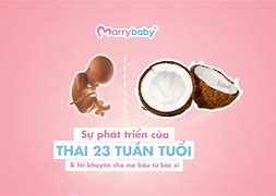 Một Kỳ Là Bao Nhiêu Tháng